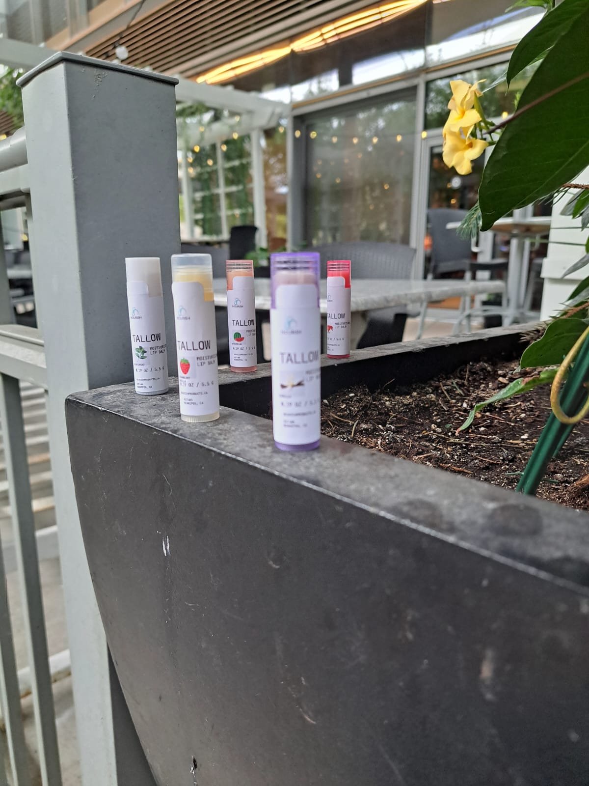 Tallow Lip balm  image 2