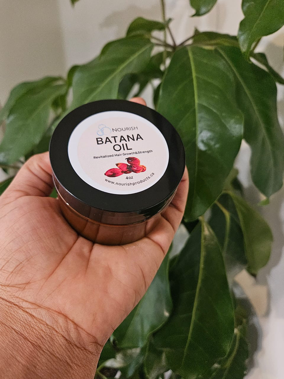 Batana Oil image 4