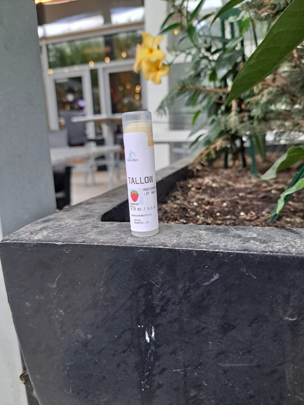 Tallow Lip balm  image 4