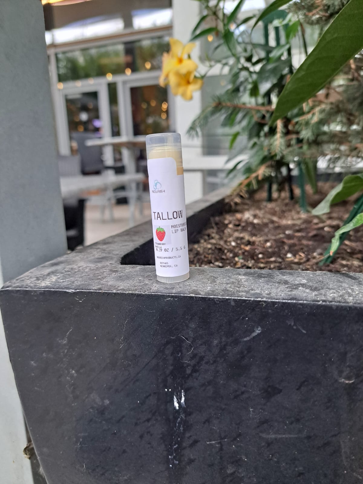 Tallow Lip balm  image 4