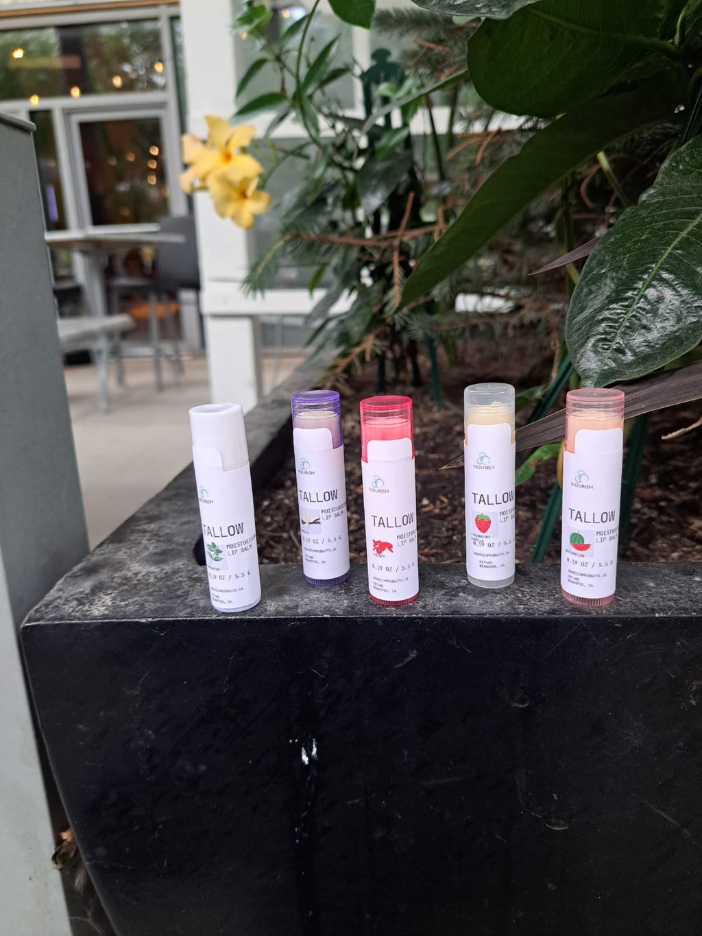 Tallow Lip balm  image 5