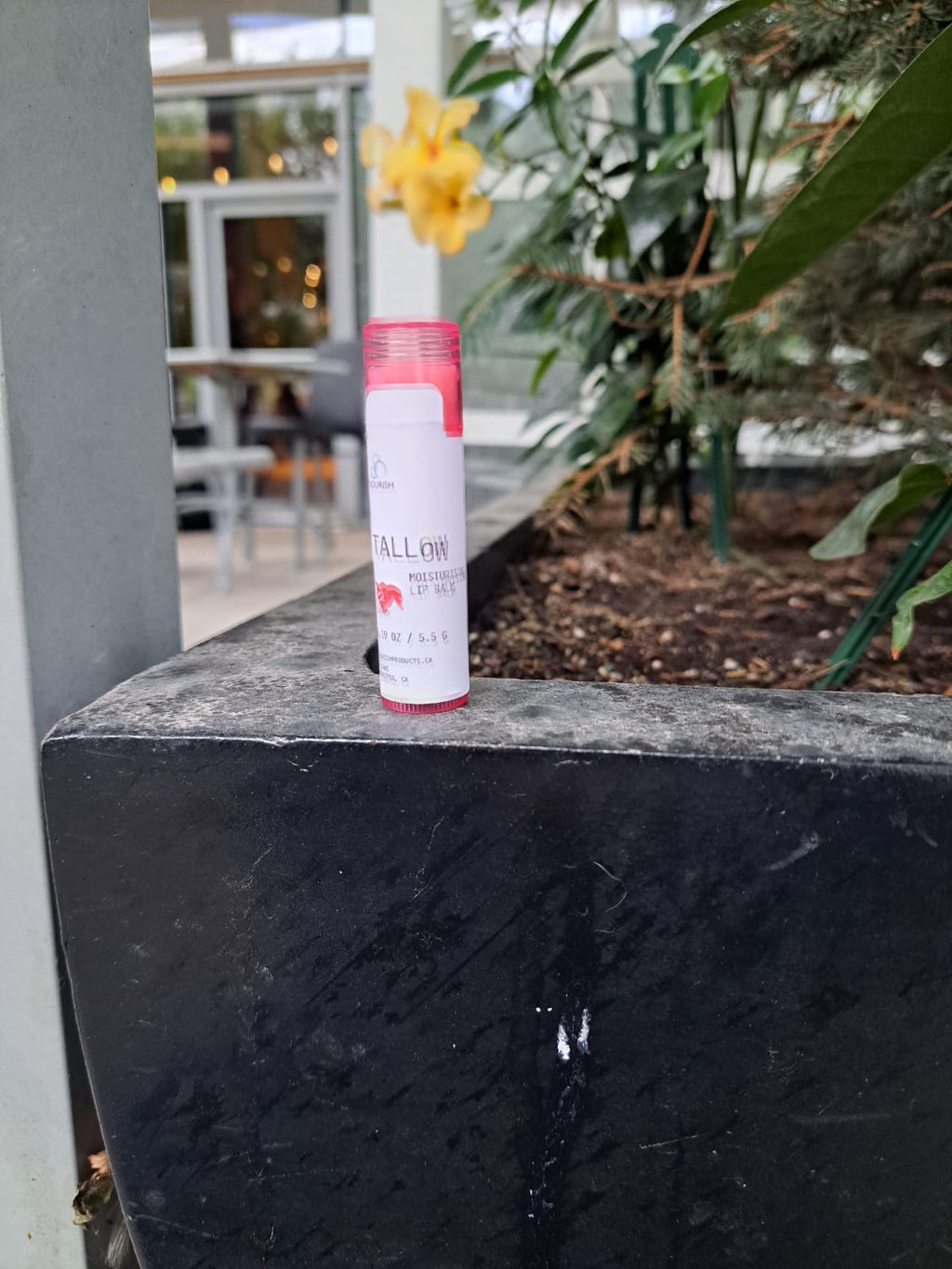 Tallow Lip balm  image 8