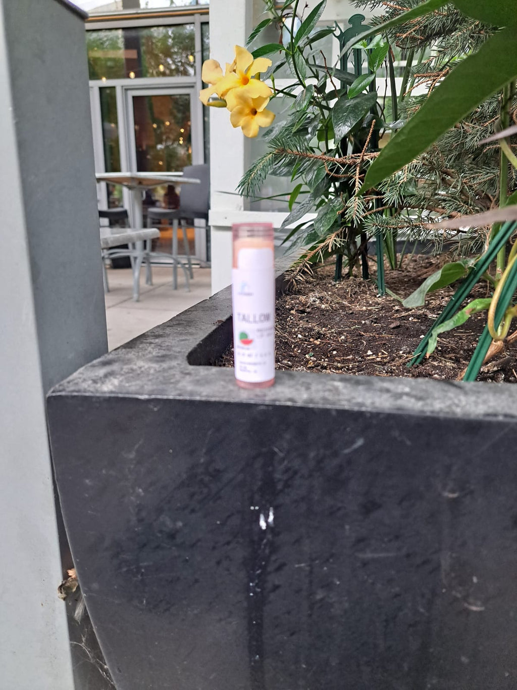 Tallow Lip balm  image 6