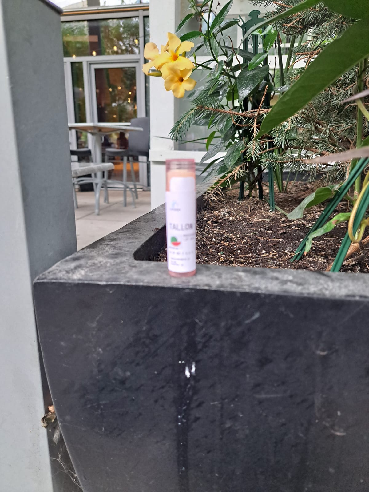 Tallow Lip balm  image 6