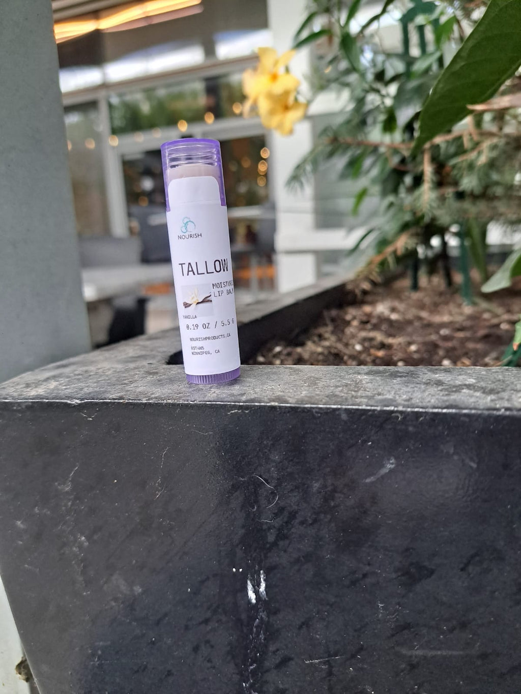Tallow Lip balm  image 7