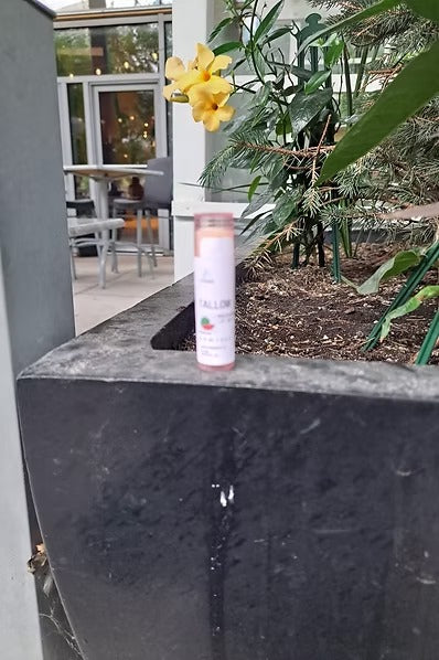Tallow Lip balm